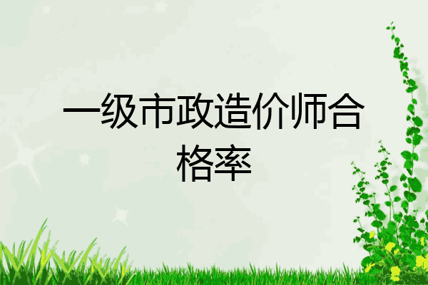 一级市政造价师合格率