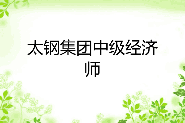 太钢集团中级经济师