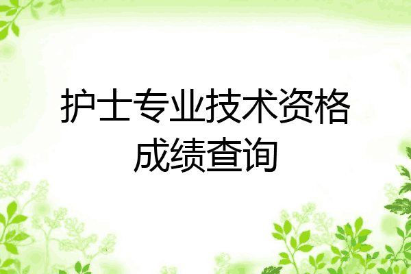 护士专业技术资格成绩查询