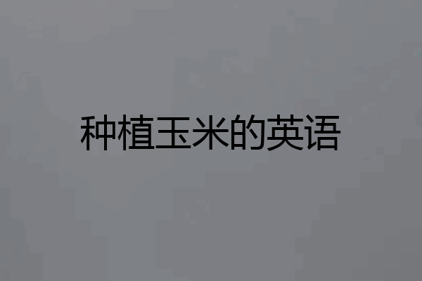 种植玉米的英语