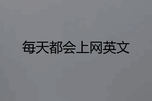 每天都会上网英文