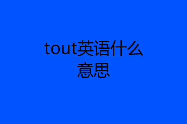 tout英语什么意思