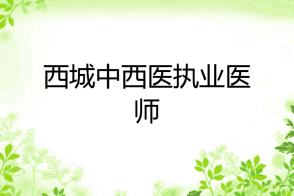 西城中西医执业医师