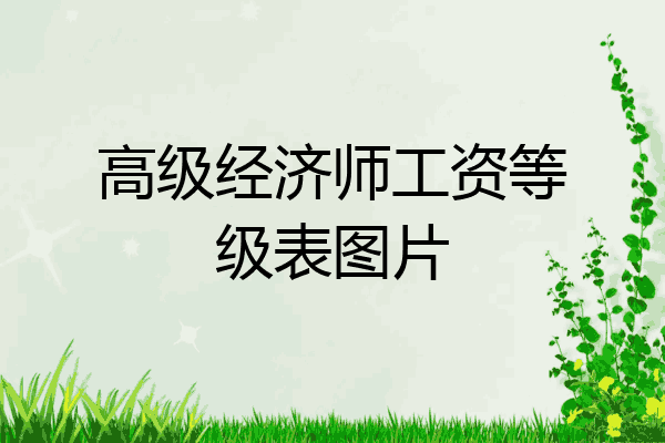 高级经济师工资等级表图片