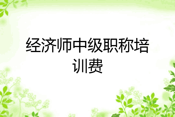 经济师中级职称培训费