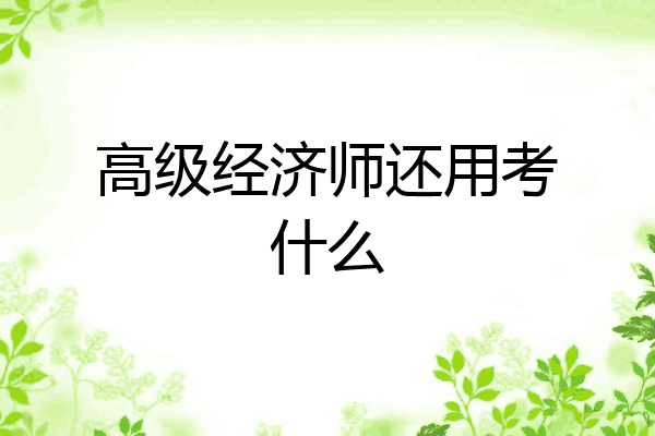 高级经济师还用考什么
