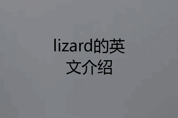 lizard的英文介绍