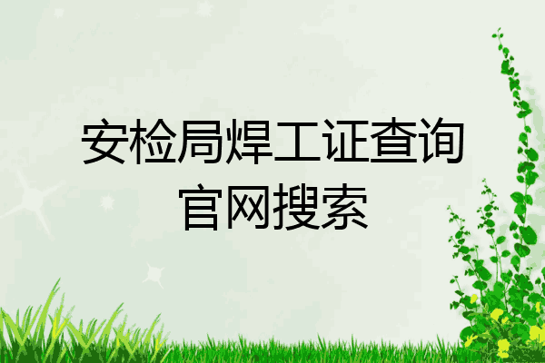 安检局焊工证查询官网搜索