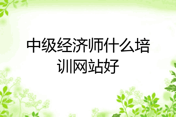 中级经济师什么培训网站好
