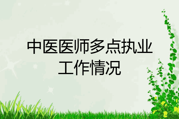 中医医师多点执业工作情况