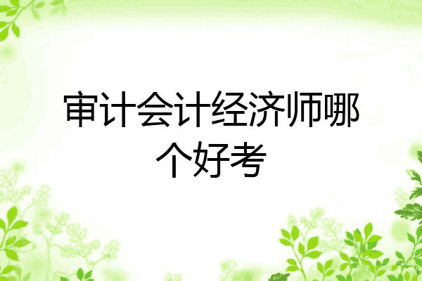 审计会计经济师哪个好考