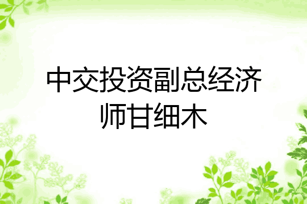 中交投资副总经济师甘细木