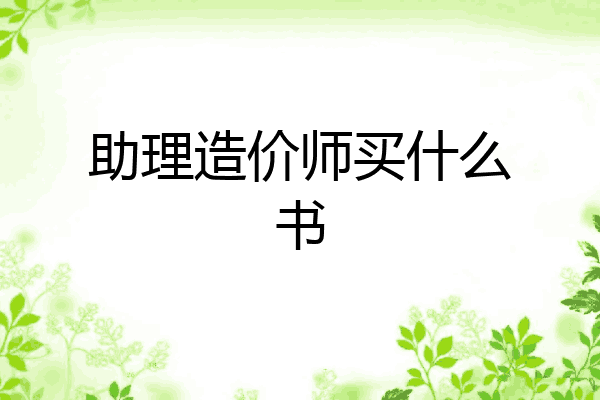 助理造价师买什么书