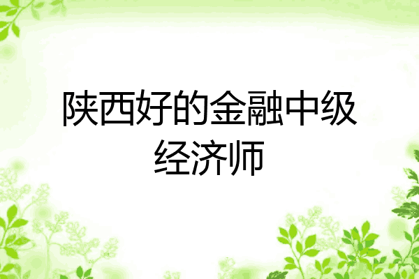 陕西好的金融中级经济师