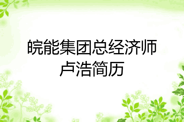皖能集团总经济师卢浩简历