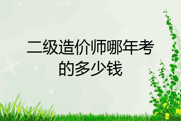 二级造价师哪年考的多少钱