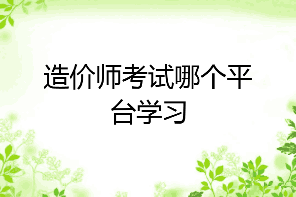 造价师考试哪个平台学习