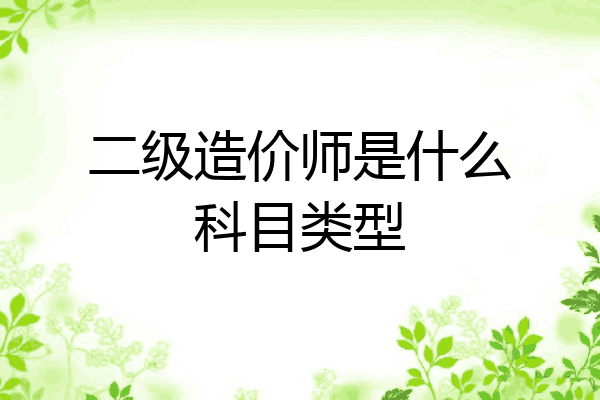 二级造价师是什么科目类型