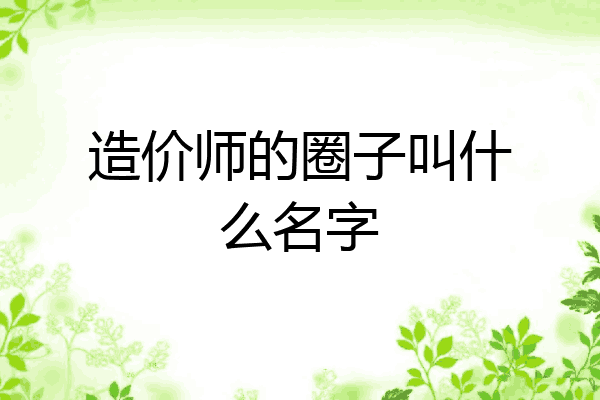 造价师的圈子叫什么名字