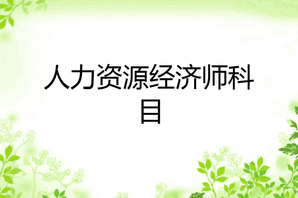 人力资源经济师科目