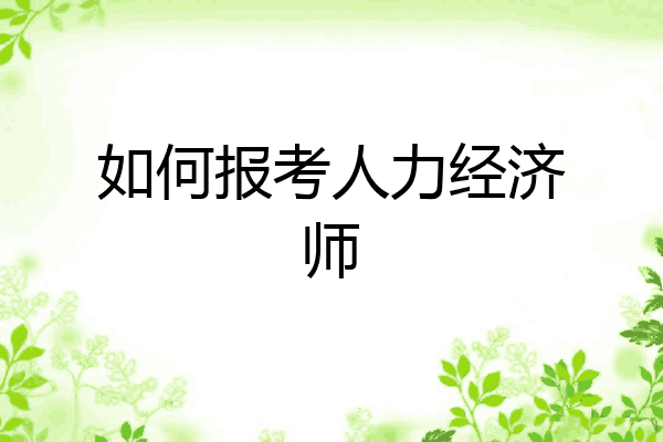 如何报考人力经济师