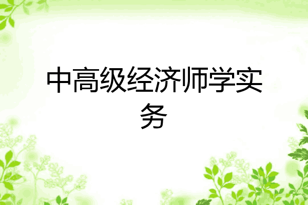 中高级经济师学实务