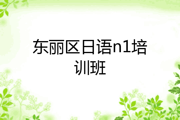 东丽区日语n1培训班