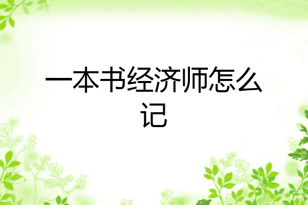 一本书经济师怎么记