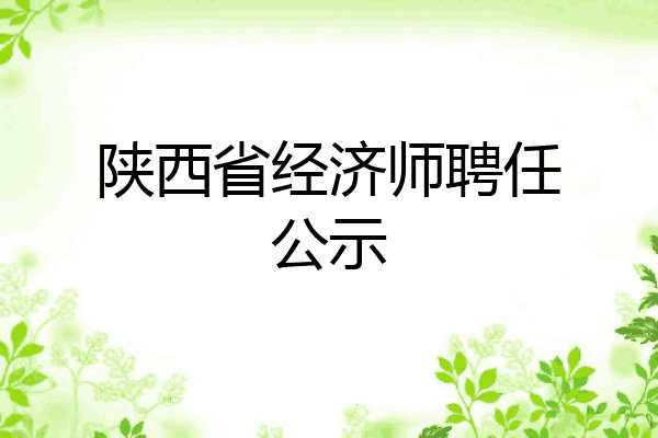 陕西省经济师聘任公示