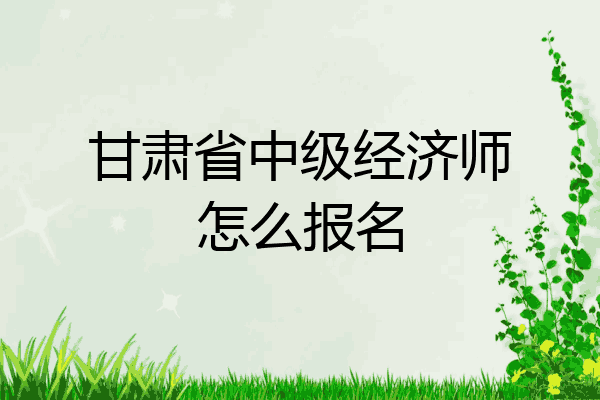 甘肃省中级经济师怎么报名