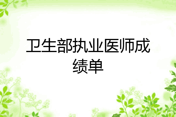 卫生部执业医师成绩单
