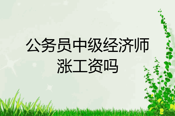 公务员中级经济师涨工资吗