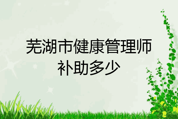 芜湖市健康管理师补助多少