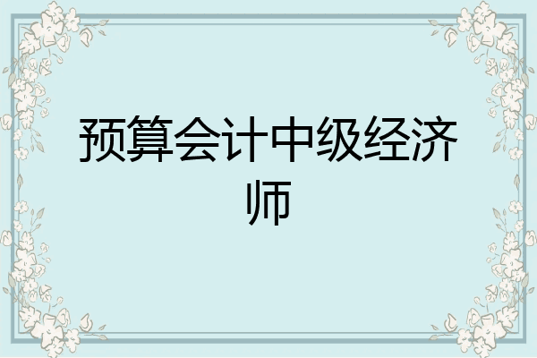 预算会计中级经济师