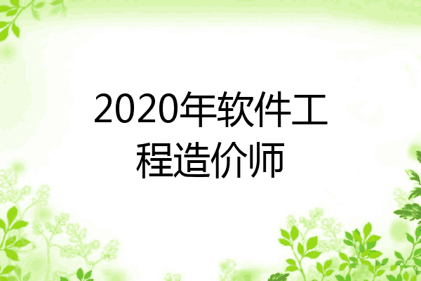 2020年软件工程造价师