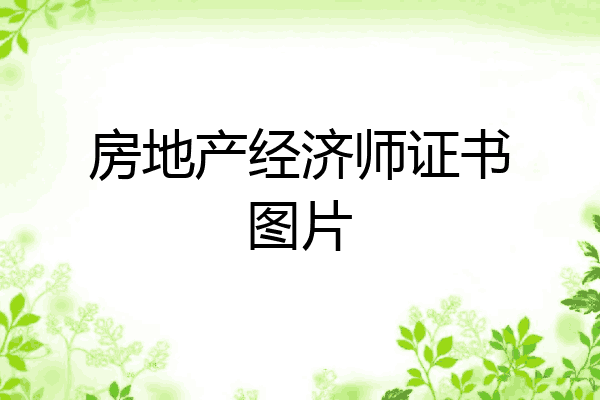 房地产经济师证书图片