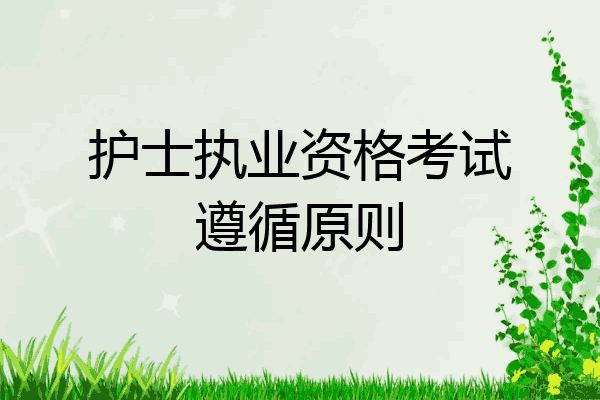 护士执业资格考试遵循原则