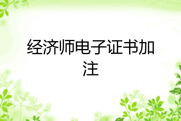 经济师电子证书加注