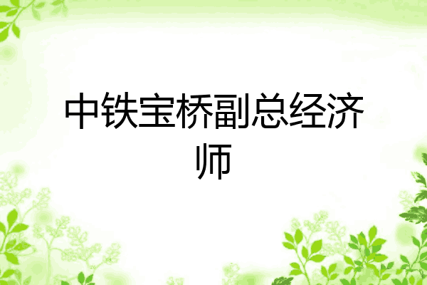 中铁宝桥副总经济师