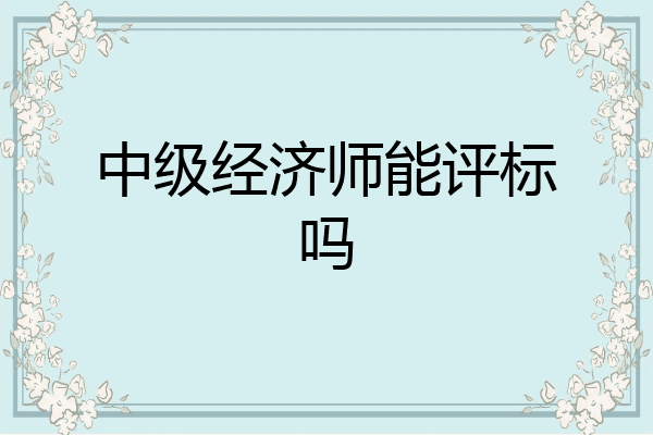 中级经济师能评标吗