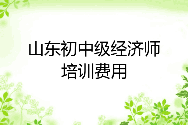 山东初中级经济师培训费用