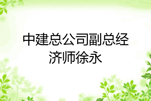中建总公司副总经济师徐永