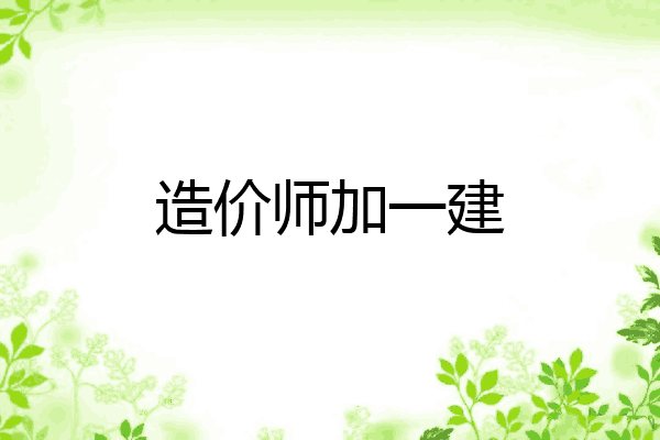 造价师加一建