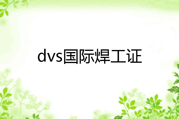 dvs国际焊工证