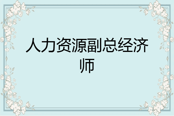 人力资源副总经济师