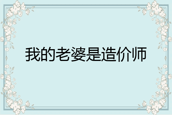 我的老婆是造价师