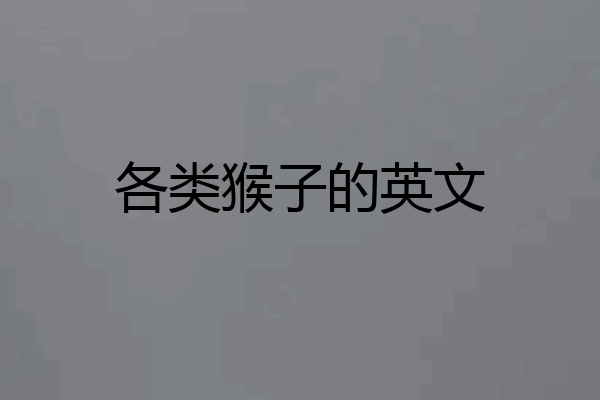 各类猴子的英文