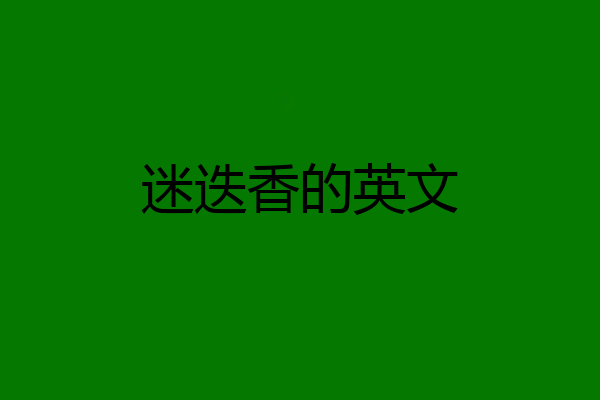 迷迭香的英文