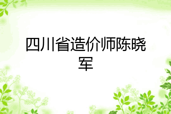 四川省造价师陈晓军
