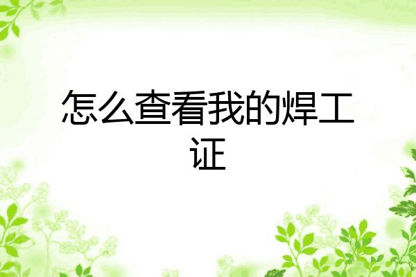 怎么查看我的焊工证